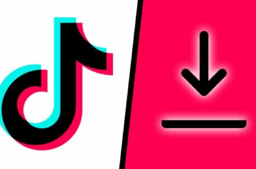 download TikTok videos