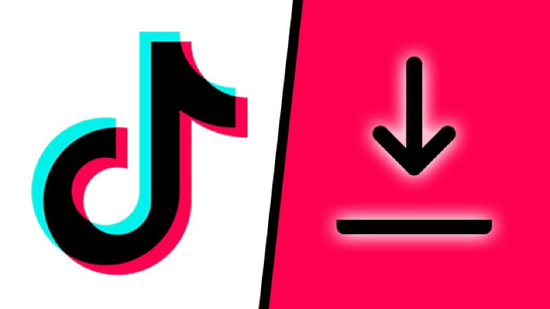 download TikTok videos