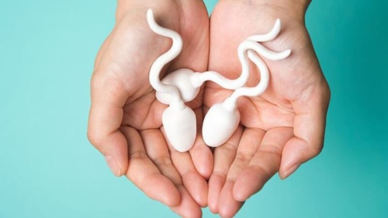 Quá trình thụ tinh thường diễn ra tại ống dẫn trứng sau khoảng 2 đến 12 giờ di chuyển.