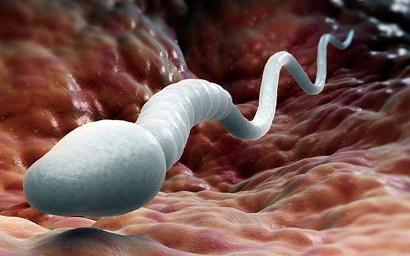 Nằm yên từ 15-30 phút sau khi quan hệ giúp tối ưu hóa khả năng tinh trùng gặp trứng.